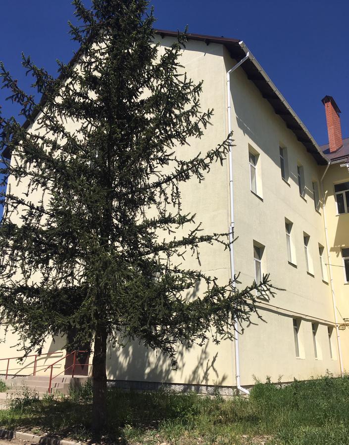 Lux Apartment Studio Beregovo Exterior foto